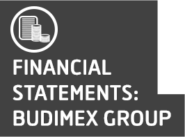 Financial Statements: Budimex Group